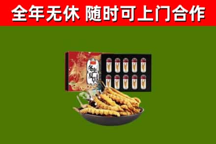 高碑店烟酒回收冬虫夏草礼盒.jpg